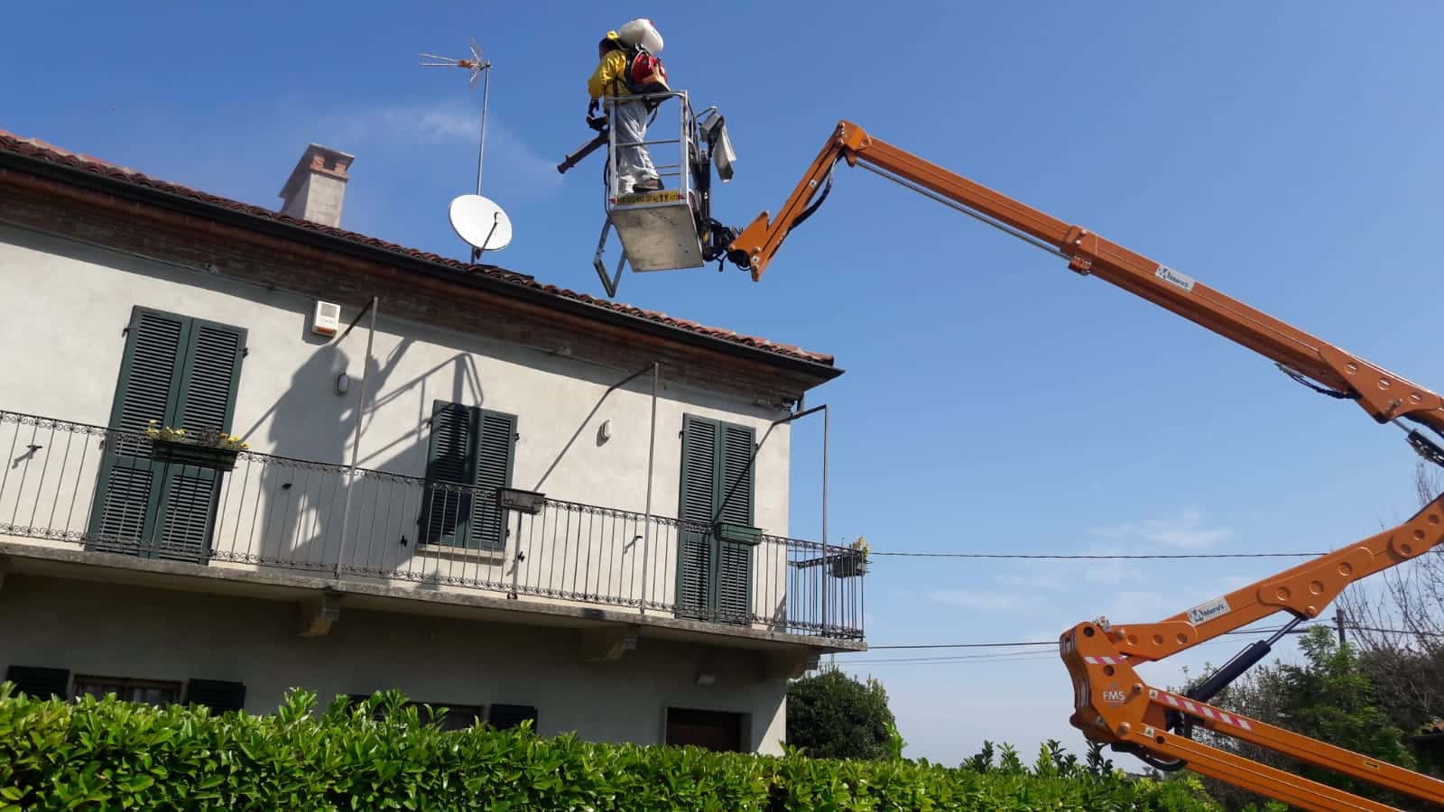 Come Mandare Via Piccioni Dal Tetto