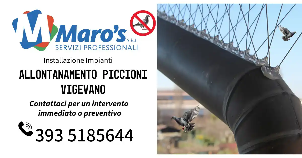 Allontanamento Piccioni Vigevano Lombardia: Maro Servizi