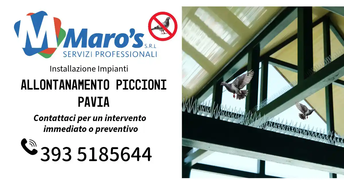 Allontanamento Piccioni Pavia Maro Servizi