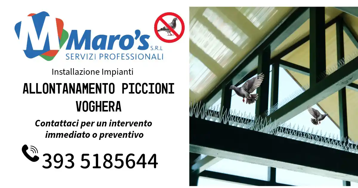 Allontanamento Piccioni Voghera: Maro Servizi