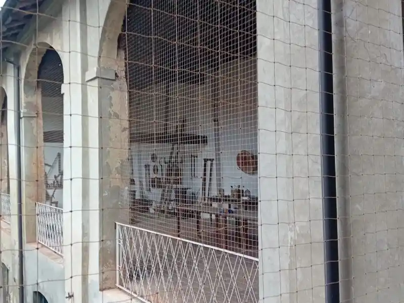 allontanamento piccioni Voghera: maro Servizi