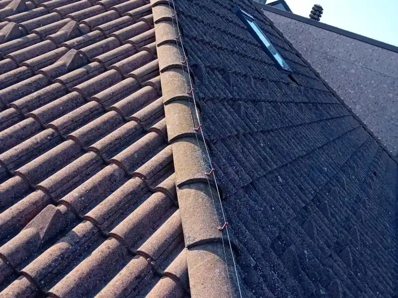 Allontanamento Piccioni Voghera: Maro Servizi